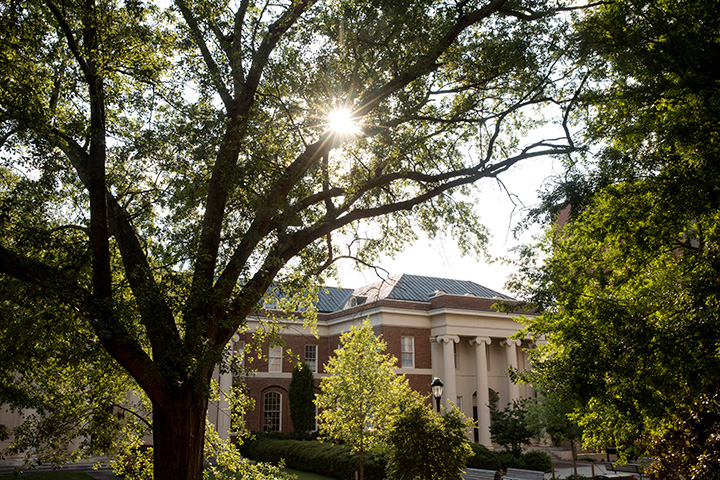 UGA's graduate and professional programs continue to be recognized among the best in the nation