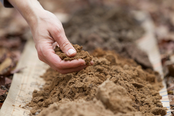 Hand scoops up dirt out of a pile