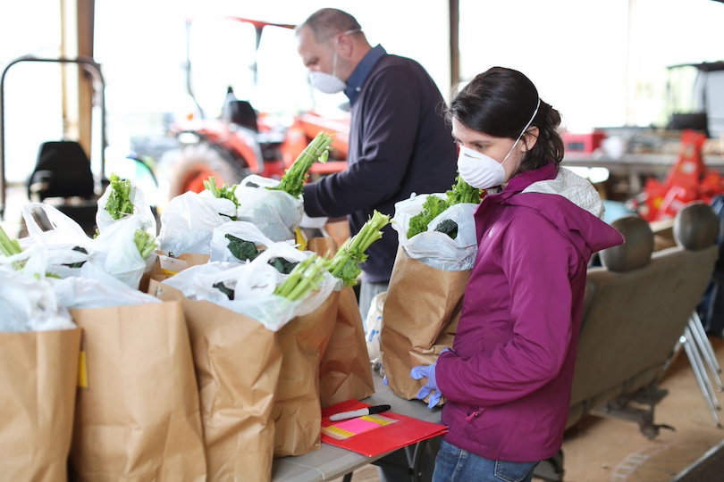 UGA faculty, staff and volunteers pack bags of produce to distribute to food-insecure residents in the Athens area during the COVID-19 pandemic. (Photo by Shannah Montgomery)