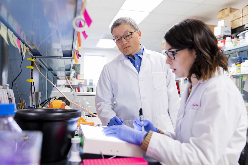 (L-R) Professor Biao as he works with PhD student Maria Huertas-Diaz as she counts plaque assays in his lab at the College of Veterinary Medicine Building.