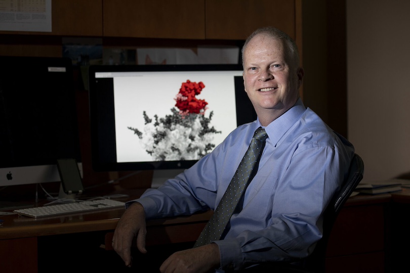 Environmental portrait of Professor Rob Woods with a comprehensive model of the interaction between the SARS-CoV-2 Spike protein and its human ACE2 receptor on his display in his office at the Complex Carbohydrate Research Center.