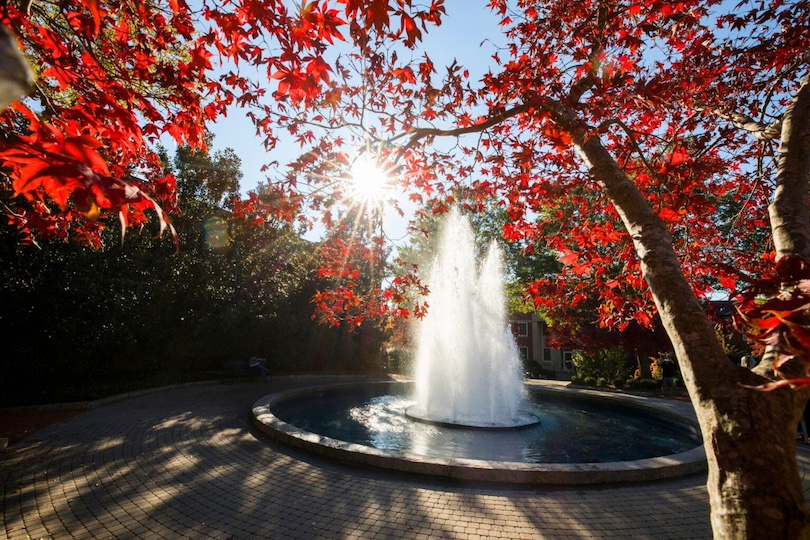 The Herty Field fountain framed by Fall foliage with sunlight filtering through the trees.