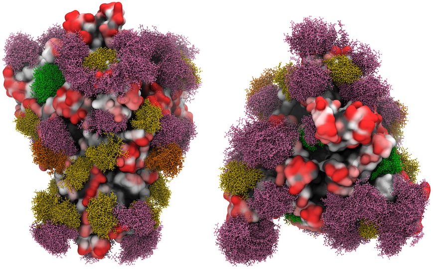 Covid-19 spike proteins graphic