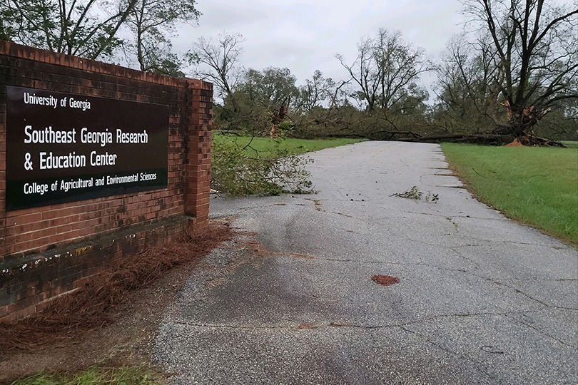 Some of the University of Georgia's extended campuses saw damage from Hurricane Helene. (Photo courtesy of Adam Fouche)