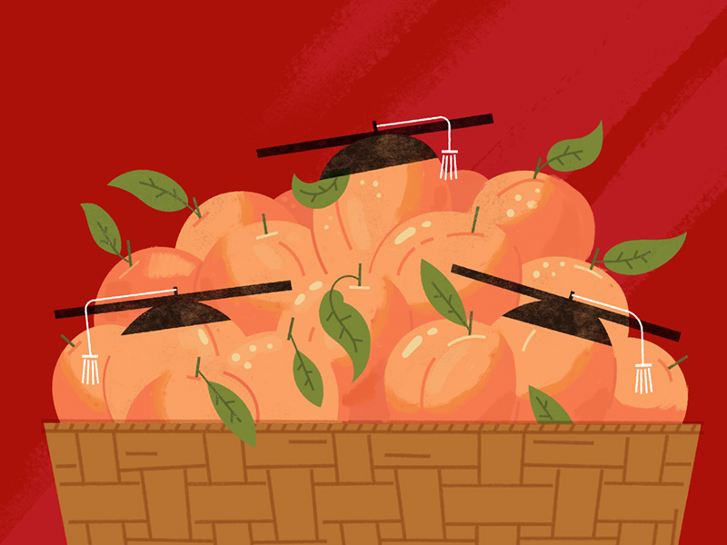 Vector illustration of peaches in basket wearing graduation caps.