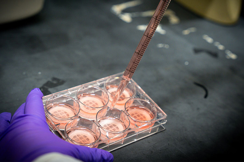 University of Georgia startup CytoNest Inc. released its first commercial product this year, a fiber scaffold that optimizes cell manufacturing and tissue engineering. (Photo by Lauren Corcino)